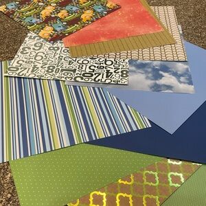 🦁 Lions & Gators Loose Scrapbook Paper Bundle